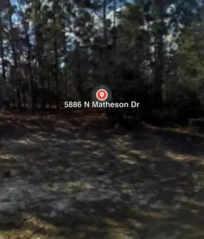5886 N Matheson Drive Citrus Springs FL 34434