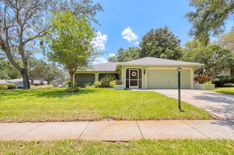 3558 Oak Lake Drive Palm Harbor FL 34684