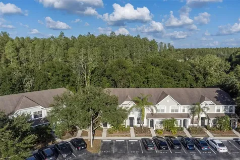 12715 Sunland Court Tampa FL 33625