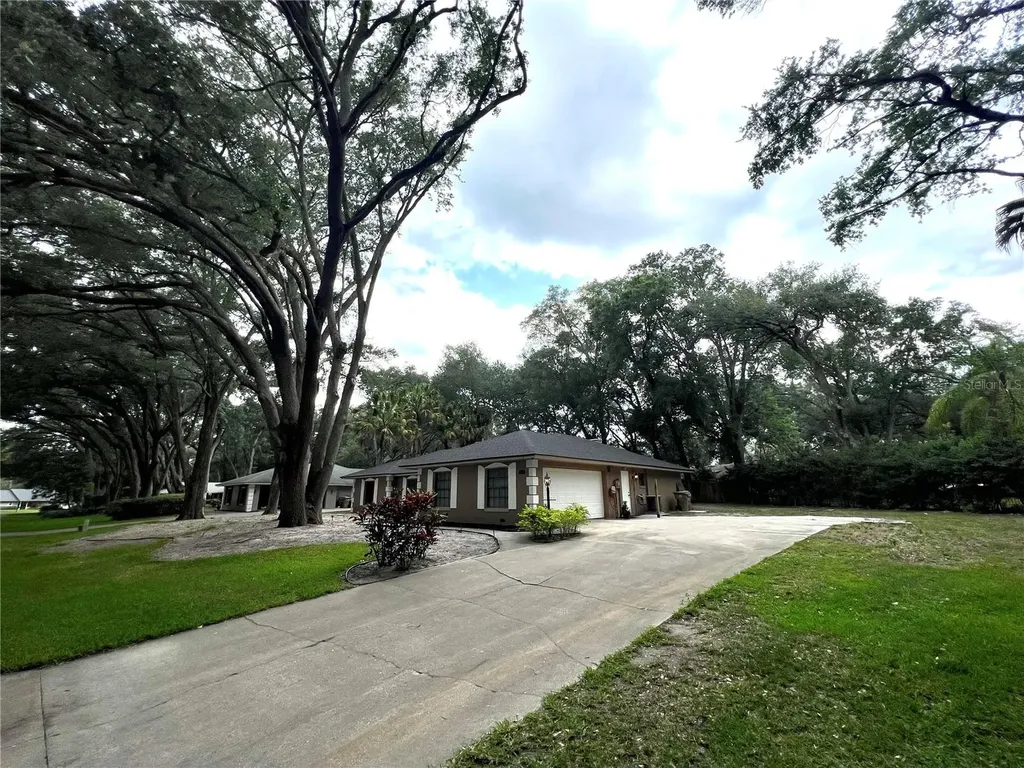 4142 Lake Forest Street Mount Dora FL 32757
