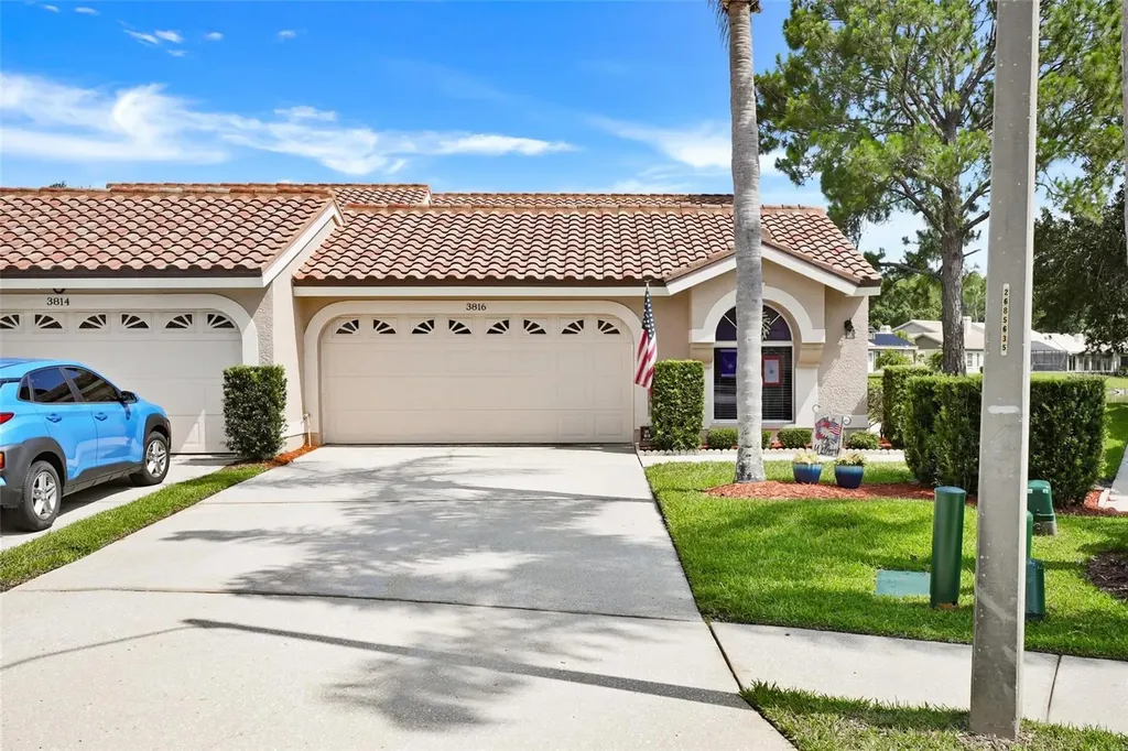 3816 Muirfield Court Palm Harbor FL 34685
