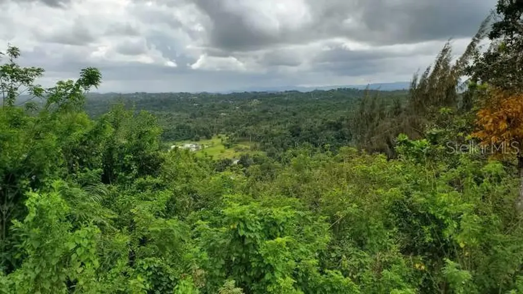 Km. 1.8 Pr-678 Vega Alta PR 00692
