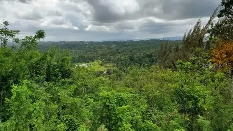 Km. 1.8 Pr-678 Vega Alta PR 00692
