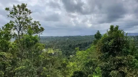 Km. 1.8 Pr-678 Vega Alta PR 00692