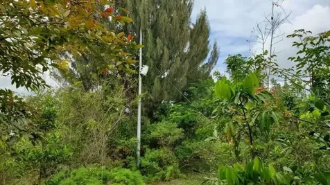 Km. 1.8 Pr-678 Vega Alta PR 00692