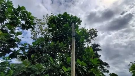 Km. 1.8 Pr-678 Vega Alta PR 00692
