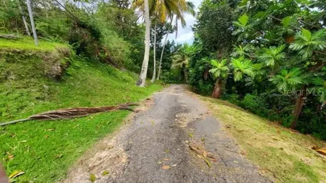 Km. 1.8 Pr-678 Vega Alta PR 00692