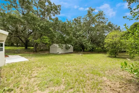 2317 Santy Williams Road Leesburg FL 34748
