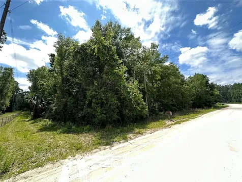 335 SW Randolph Court Fort White FL 32038