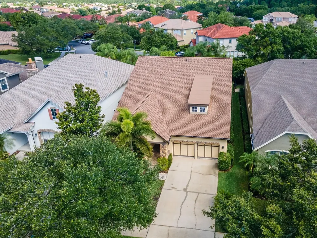 11531 Meridian Point Drive Tampa FL 33626