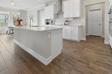 9951 Wild Begonia Loop Land O Lakes FL 34637
