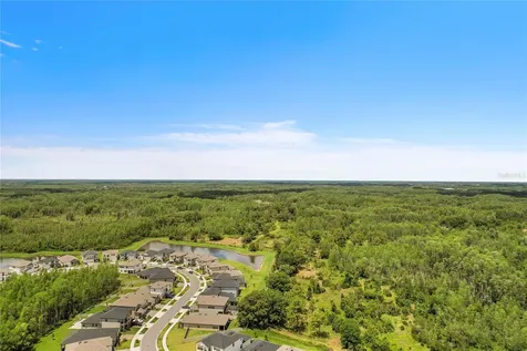 9951 Wild Begonia Loop Land O Lakes FL 34637