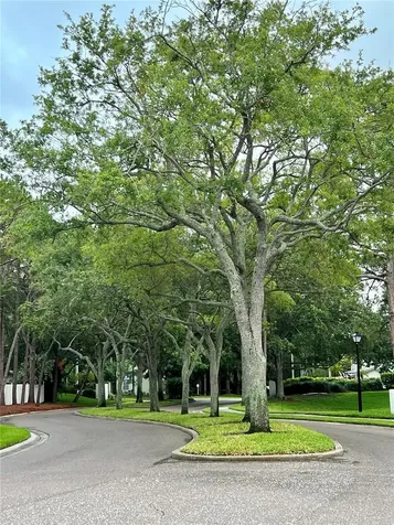 1986 Georgia Circle S Clearwater FL 33760