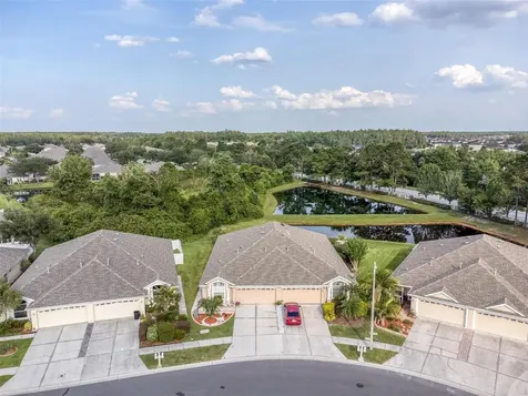 31032 Prout Court Wesley Chapel FL 33543