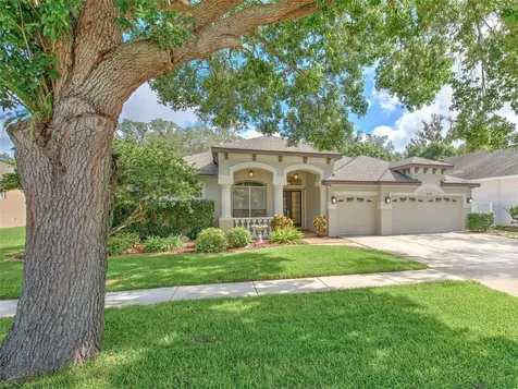 2038 Wexford Green Drive Valrico FL 33594