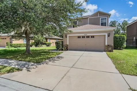 30624 White Bird Avenue Wesley Chapel FL 33543