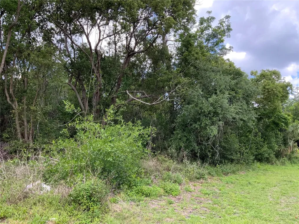 Hastings Drive Deltona FL 32725