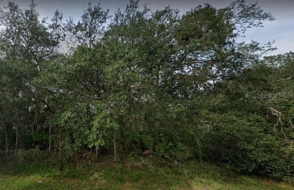 1402 Punta Gorda Court Poinciana FL 34759