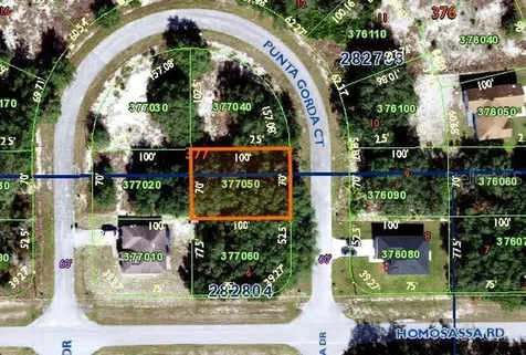 1402 Punta Gorda Court Poinciana FL 34759