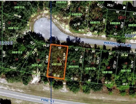 118 Warmouth Lane Poinciana FL 34759