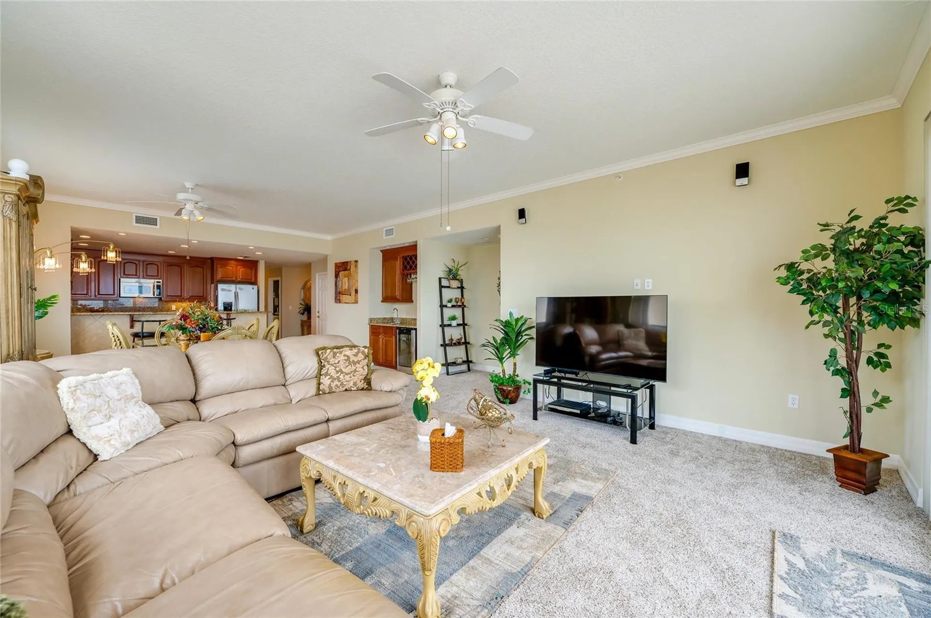 3801 S Atlantic Avenue Daytona Beach Shores FL 32118