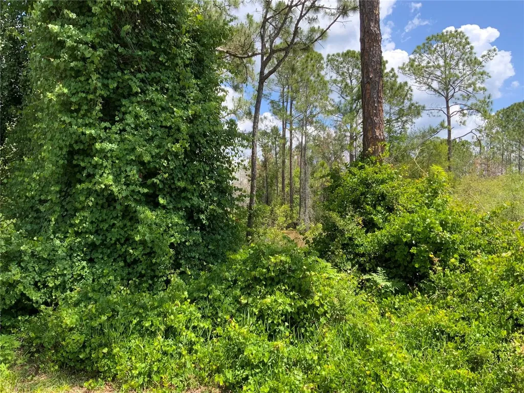 2690 Kingsdale Drive Deltona FL 32738