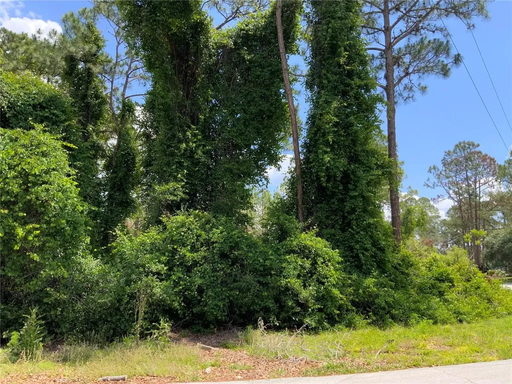 2690 Kingsdale Drive Deltona FL 32738