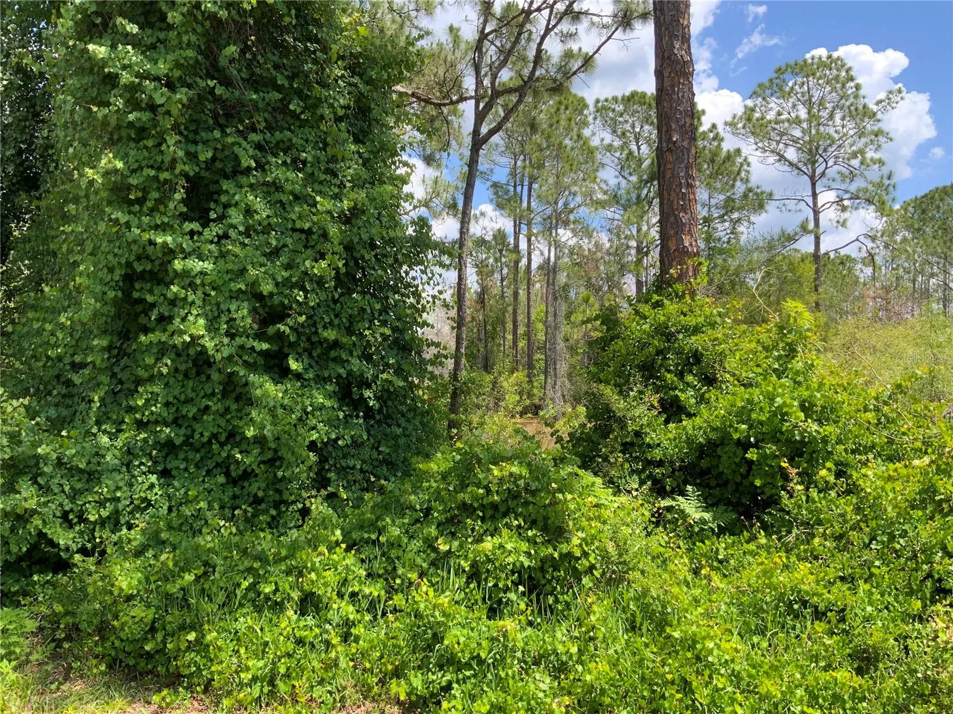 2690 Kingsdale Drive Deltona FL 32738
