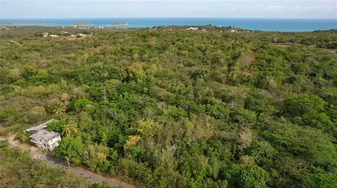 1918 Bo. Pilon Vieques PR 00765