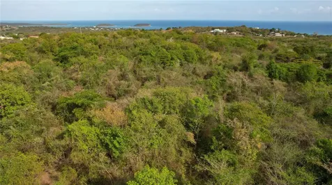 1918 Bo. Pilon Vieques PR 00765