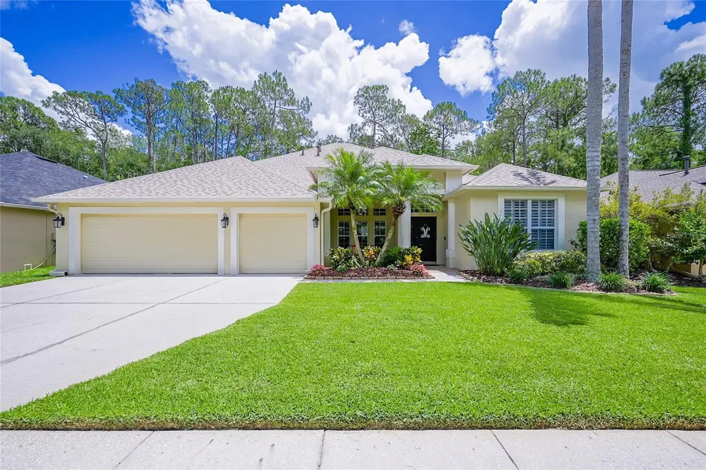 27338 Briarglade Loop Wesley Chapel FL 33544