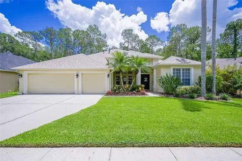 27338 Briarglade Loop Wesley Chapel FL 33544