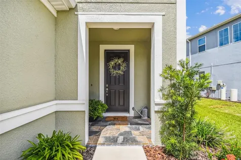 4565 Tramanto Lane Wesley Chapel FL 33543