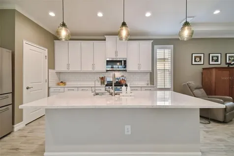 4565 Tramanto Lane Wesley Chapel FL 33543