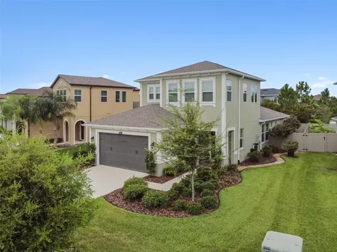 4565 Tramanto Lane Wesley Chapel FL 33543