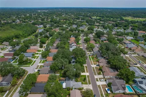 1231 Lornewood Drive Valrico FL 33596