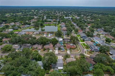1231 Lornewood Drive Valrico FL 33596