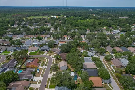 1231 Lornewood Drive Valrico FL 33596