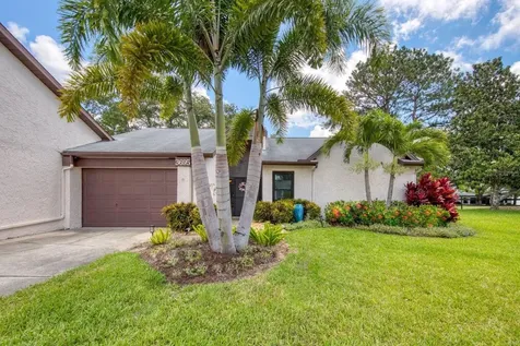 3695 Ridgemont Court Palm Harbor FL 34684