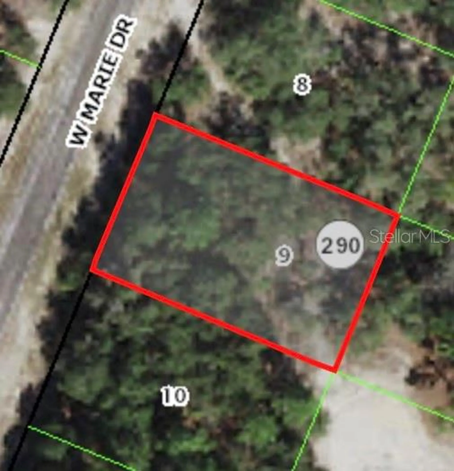 3050 W Marie Drive Citrus Springs FL 34433