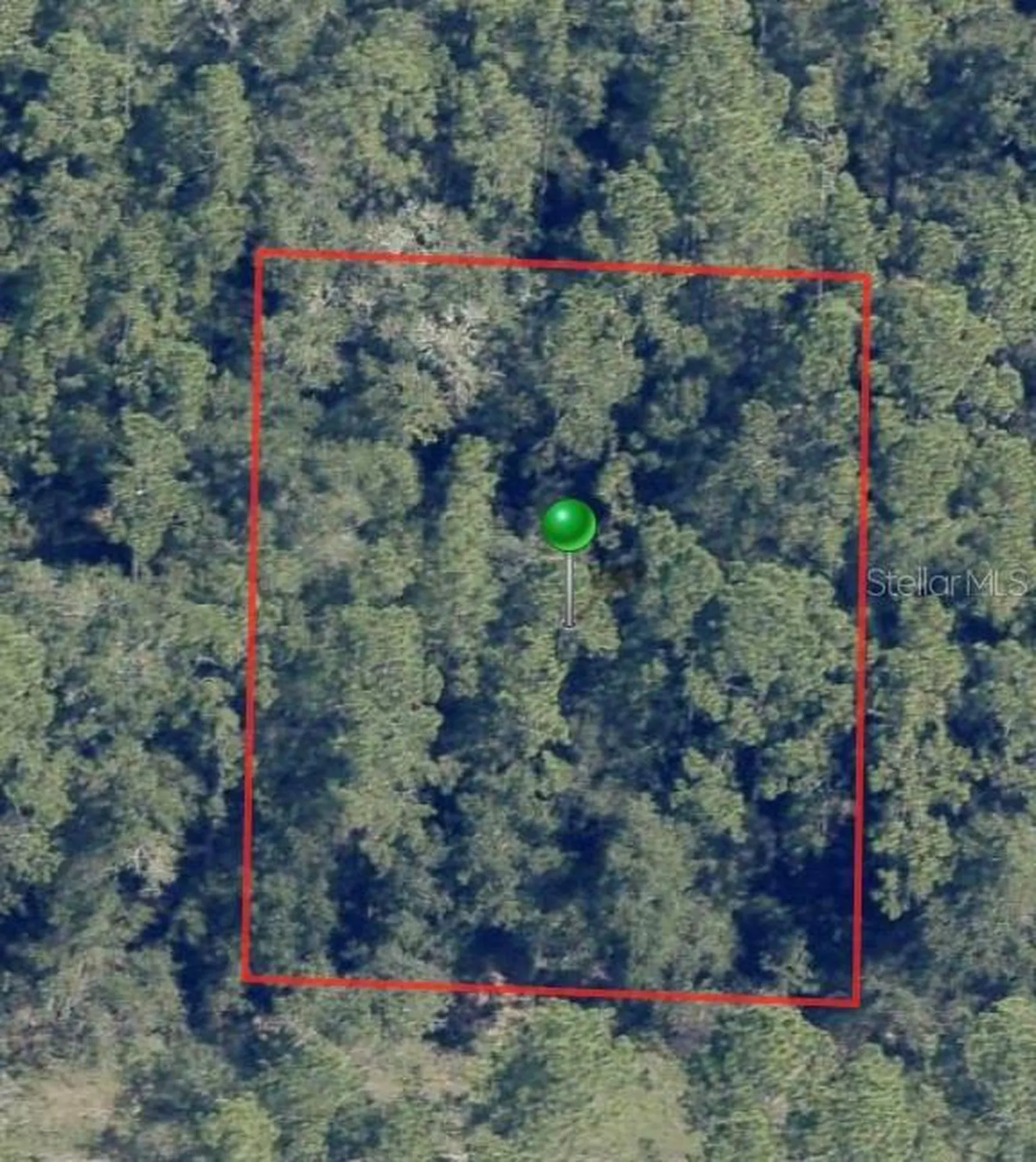 225 E Enfield Lane Citrus Springs FL 34434