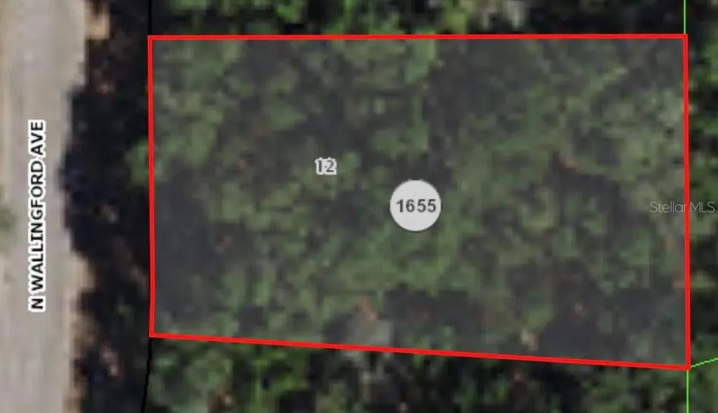 8317 N Wallingford Avenue Citrus Springs FL 34434