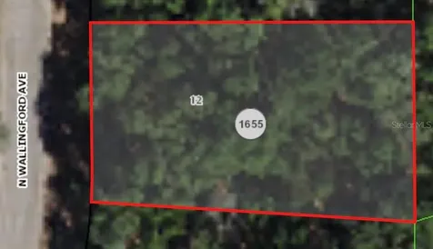 8317 N Wallingford Avenue Citrus Springs FL 34434