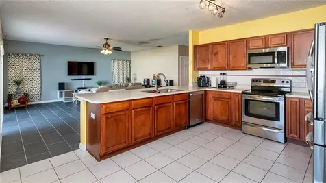 466 Tamarind Parke Lane Kissimmee FL 34758