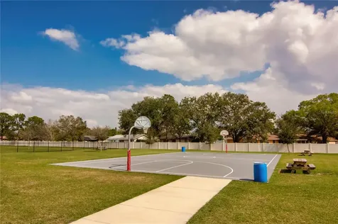 466 Tamarind Parke Lane Kissimmee FL 34758