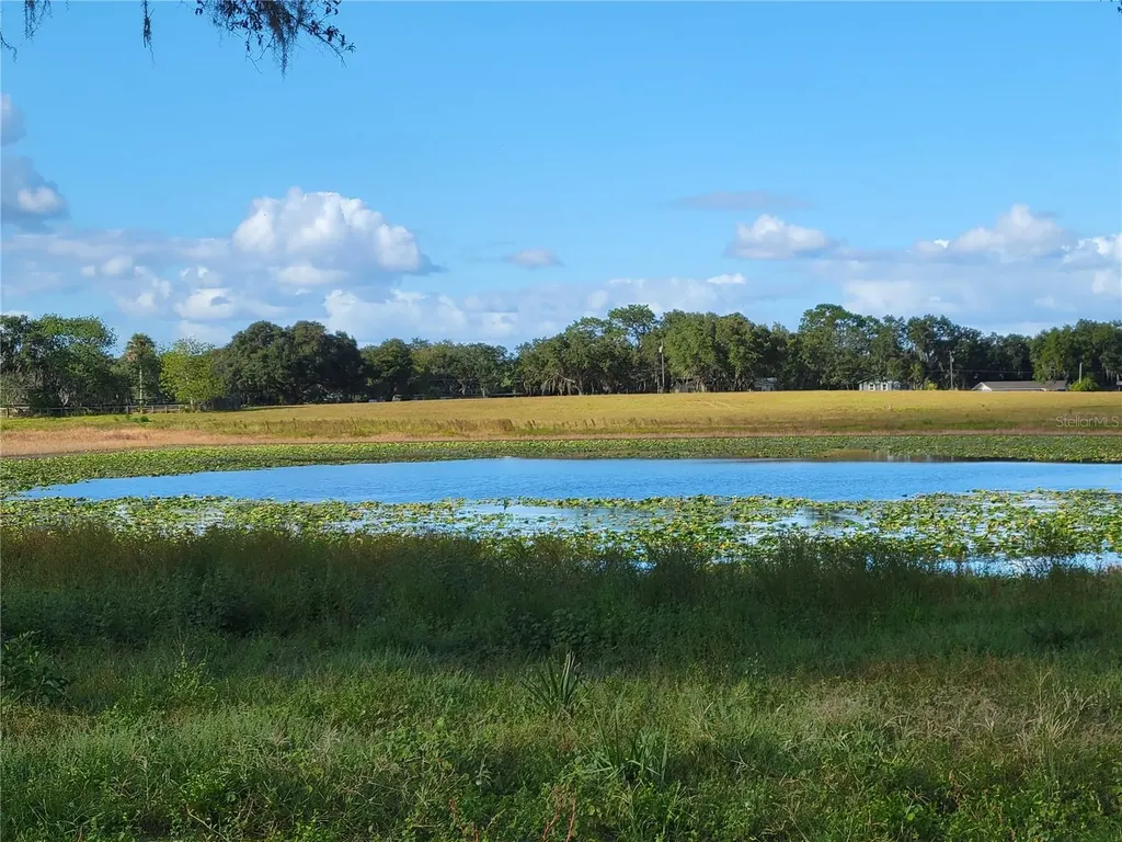 SE 74th Lane Road Ocklawaha FL 32179