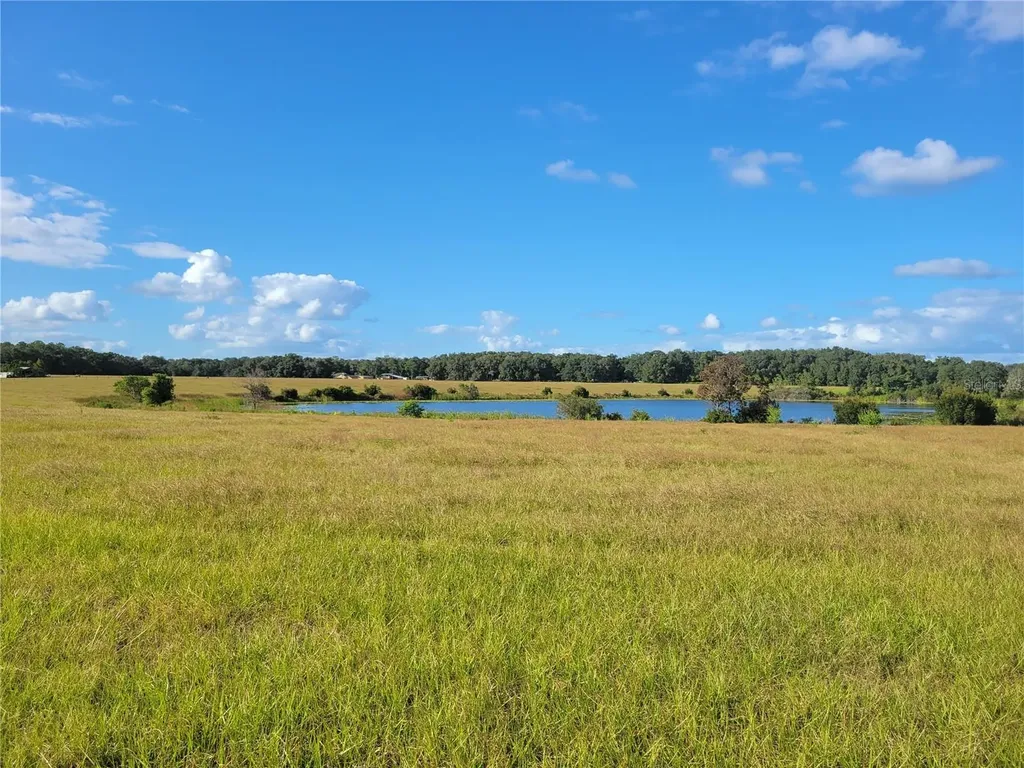 SE 74th Lane Road Ocklawaha FL 32179