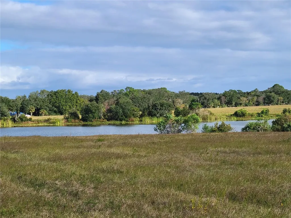 SE 74th Lane Road Ocklawaha FL 32179