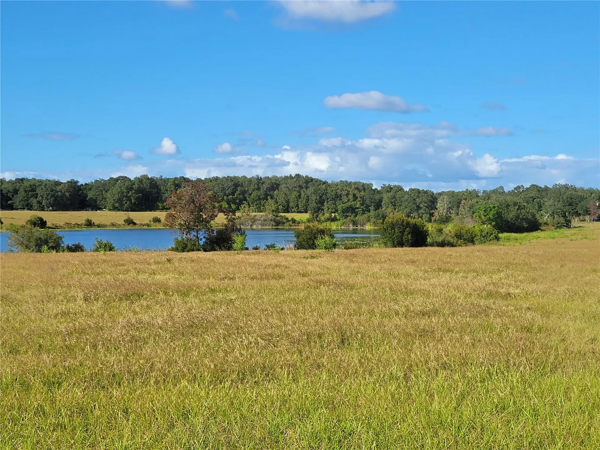 SE 74th Lane Road Ocklawaha FL 32179