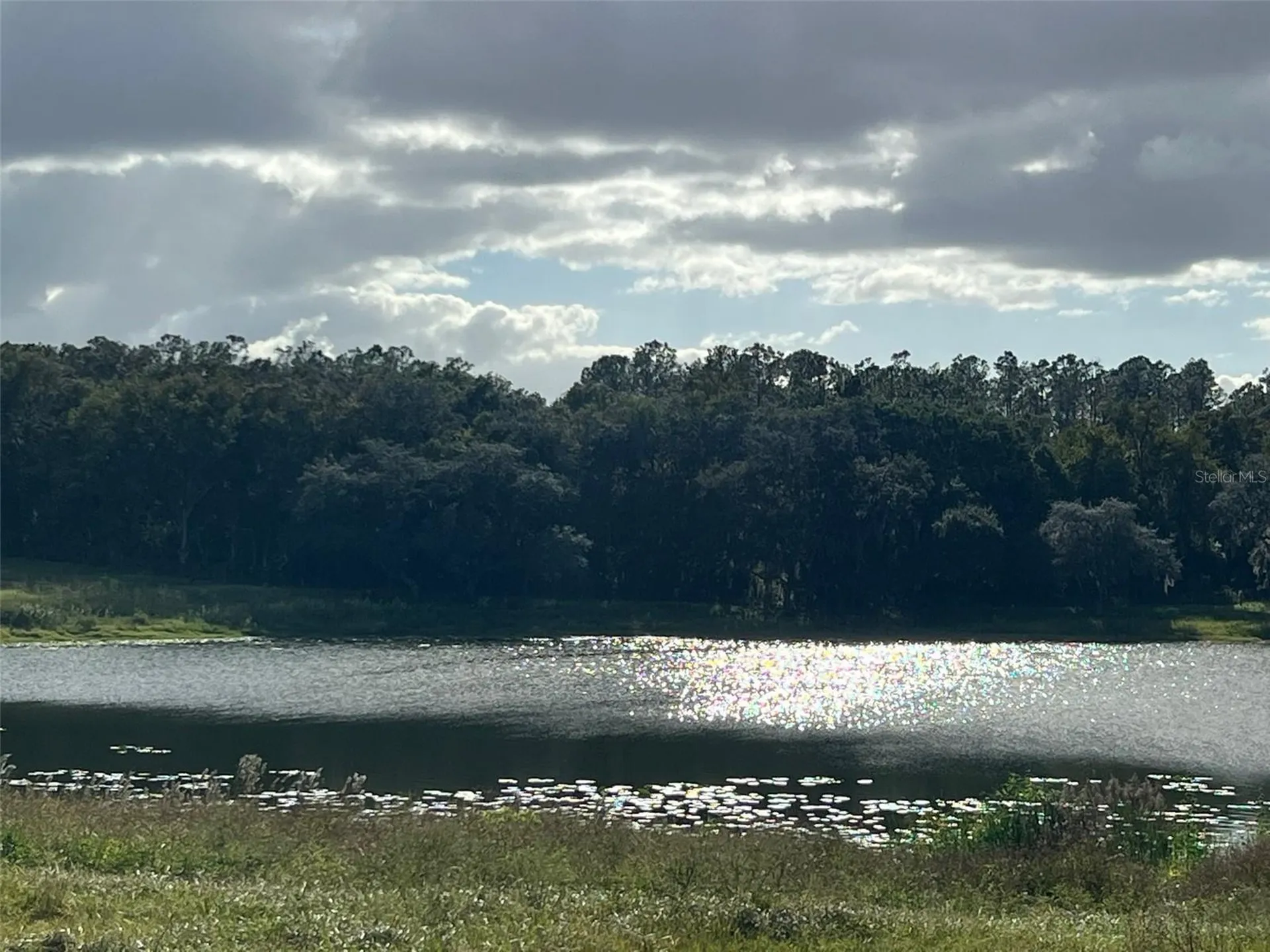 SE 74th Lane Road Ocklawaha FL 32179